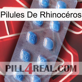 Pilules De Rhinocéros viagra3